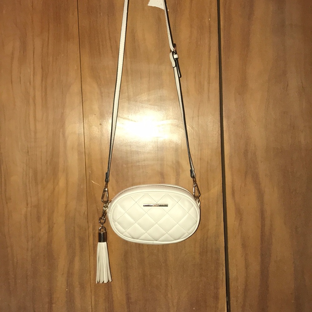 ALDO bag